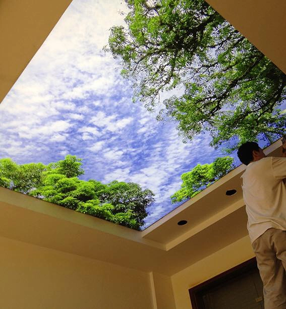 Xay-nha-cu-chi-Kieu-tran-toi-uu-cho-cay-thong-noel-lon